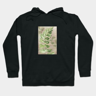 Fern Hoodie